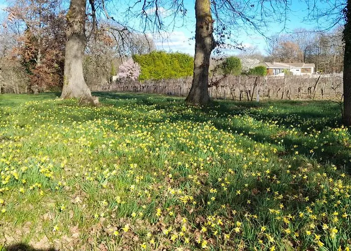 Σπίτι διακοπών Moulin De Bigorre *